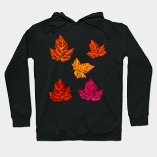 Autumn decorations for  Fall Autumn leaves sticker pack pattern Hoodie